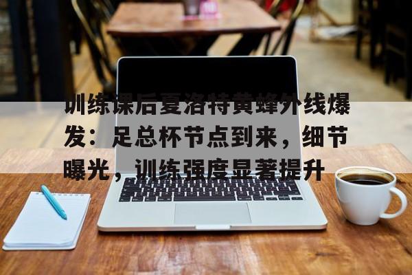 九游游戏中心下载-训练课后夏洛特黄蜂外线爆发：足总杯节点到来，细节曝光，训练强度显著提升的简单介绍